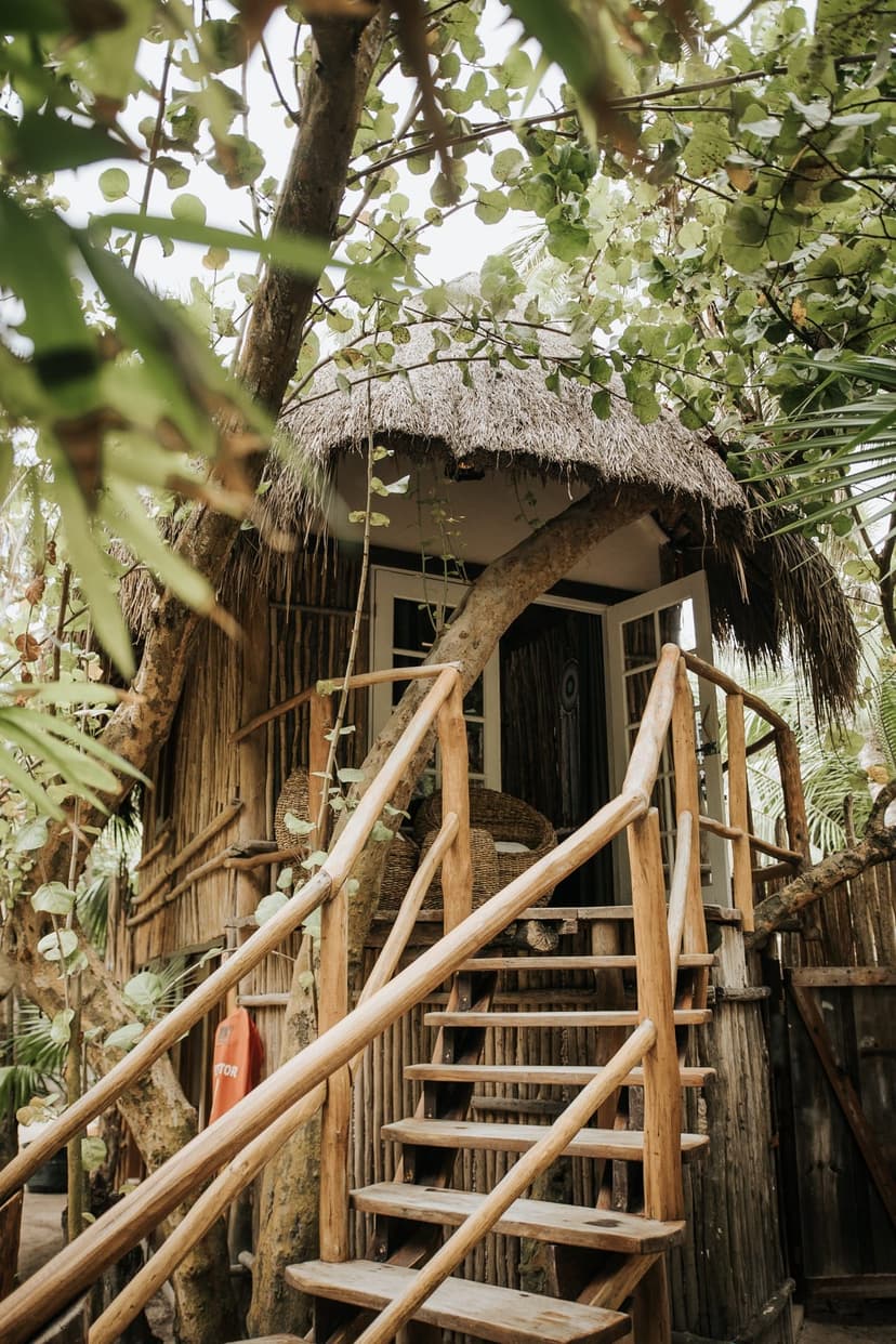 Jungle treehouse
